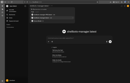 Modèle version Pro pour Manageurs et Directions